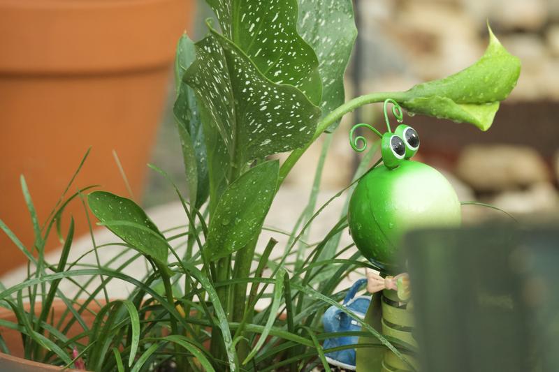 Sigma 100-400mm f5-6.3 DG DN OS Contemporary 04