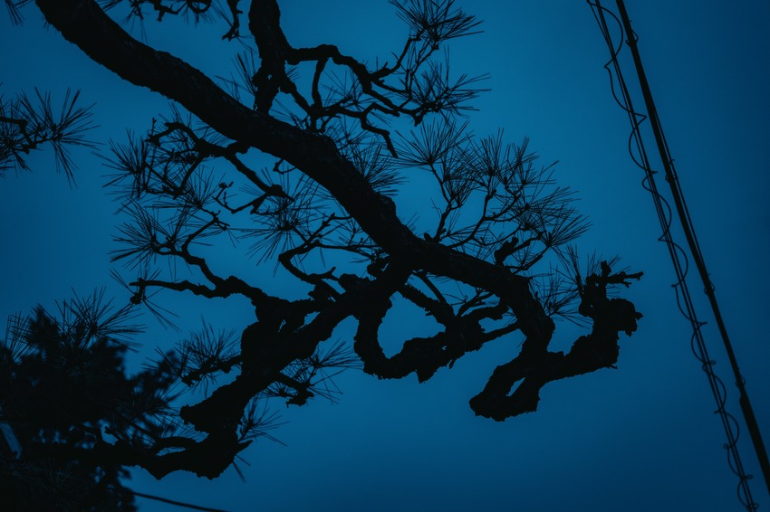 ong-kinh-sigma-17-40mm-f18-dc-art (13)