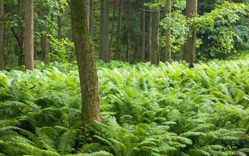 Ảnh chụp bằng ống kính Sigma 20-200mm F3.5-6.3 DG Contemporary bới Herve Rannu