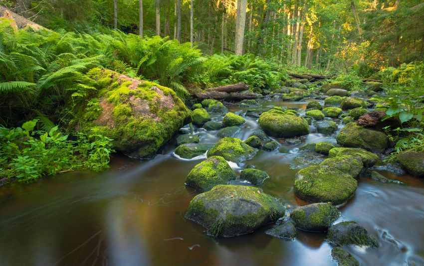 Ảnh chụp bằng ống kính Sigma 20-200mm F3.5-6.3 DG Contemporary bới Herve Rannu