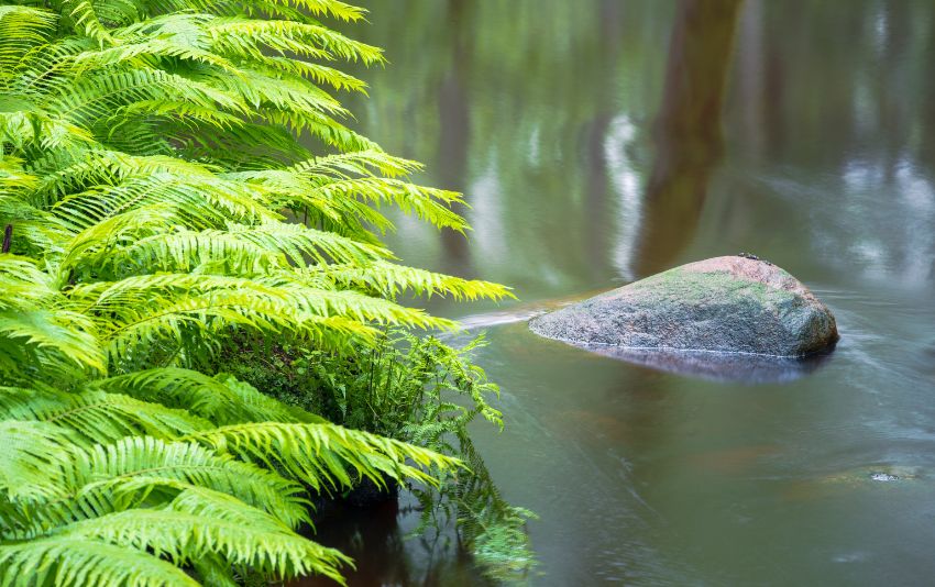 Ảnh chụp bằng ống kính Sigma 20-200mm F3.5-6.3 DG Contemporary bới Herve Rannu