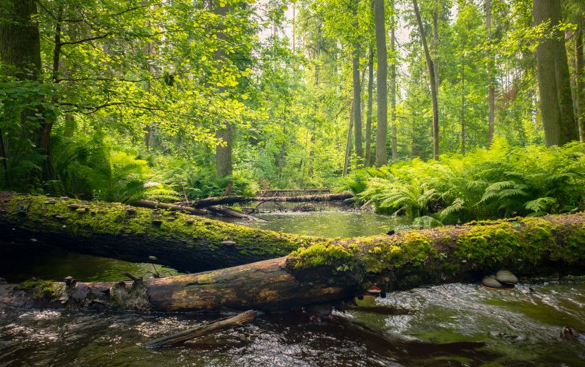 Ảnh chụp bằng ống kính Sigma 20-200mm F3.5-6.3 DG Contemporary bới Herve Rannu