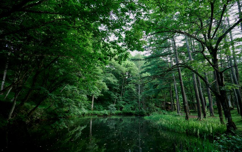 Ảnh chụp bằng ống kính Sigma 20-200mm F3.5-6.3 DG Contemporary bới Syuhei Inoue