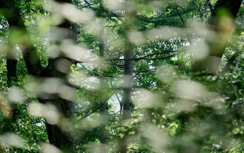 Ảnh chụp bằng ống kính Sigma 20-200mm F3.5-6.3 DG Contemporary bới Syuhei Inoue