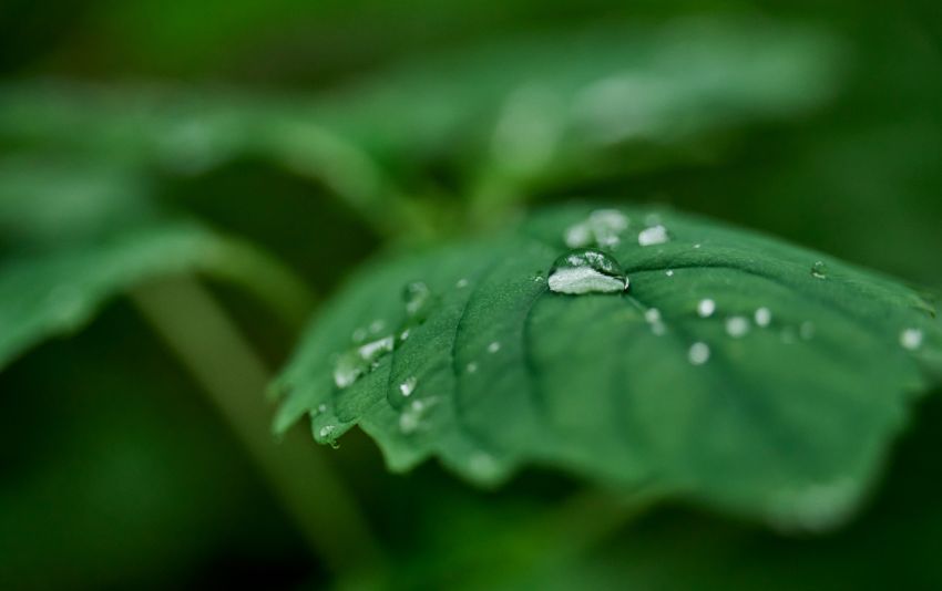 Ảnh chụp bằng ống kính Sigma 20-200mm F3.5-6.3 DG Contemporary bới Syuhei Inoue