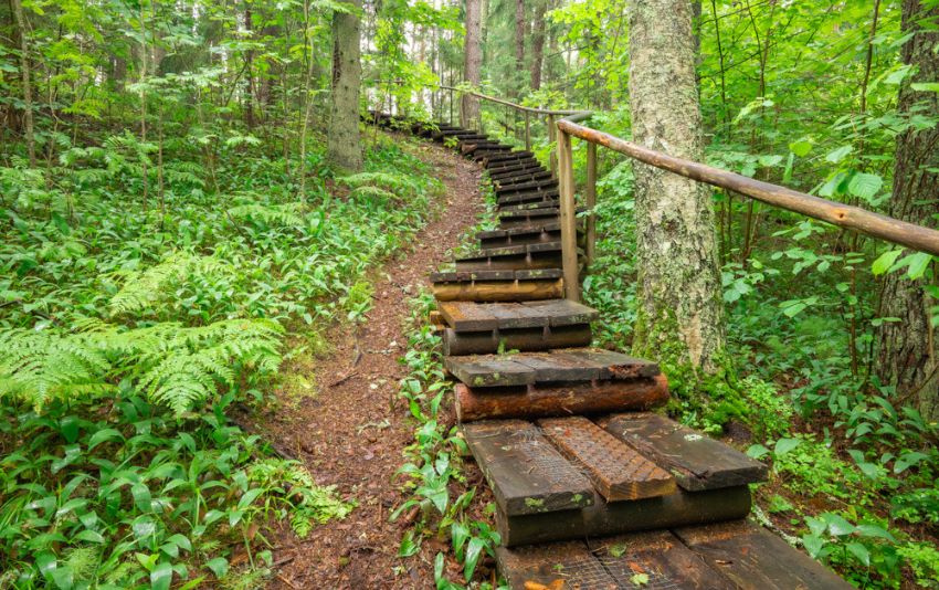 Ảnh chụp bằng ống kính Sigma 20-200mm F3.5-6.3 DG Contemporary bới Herve Rannu