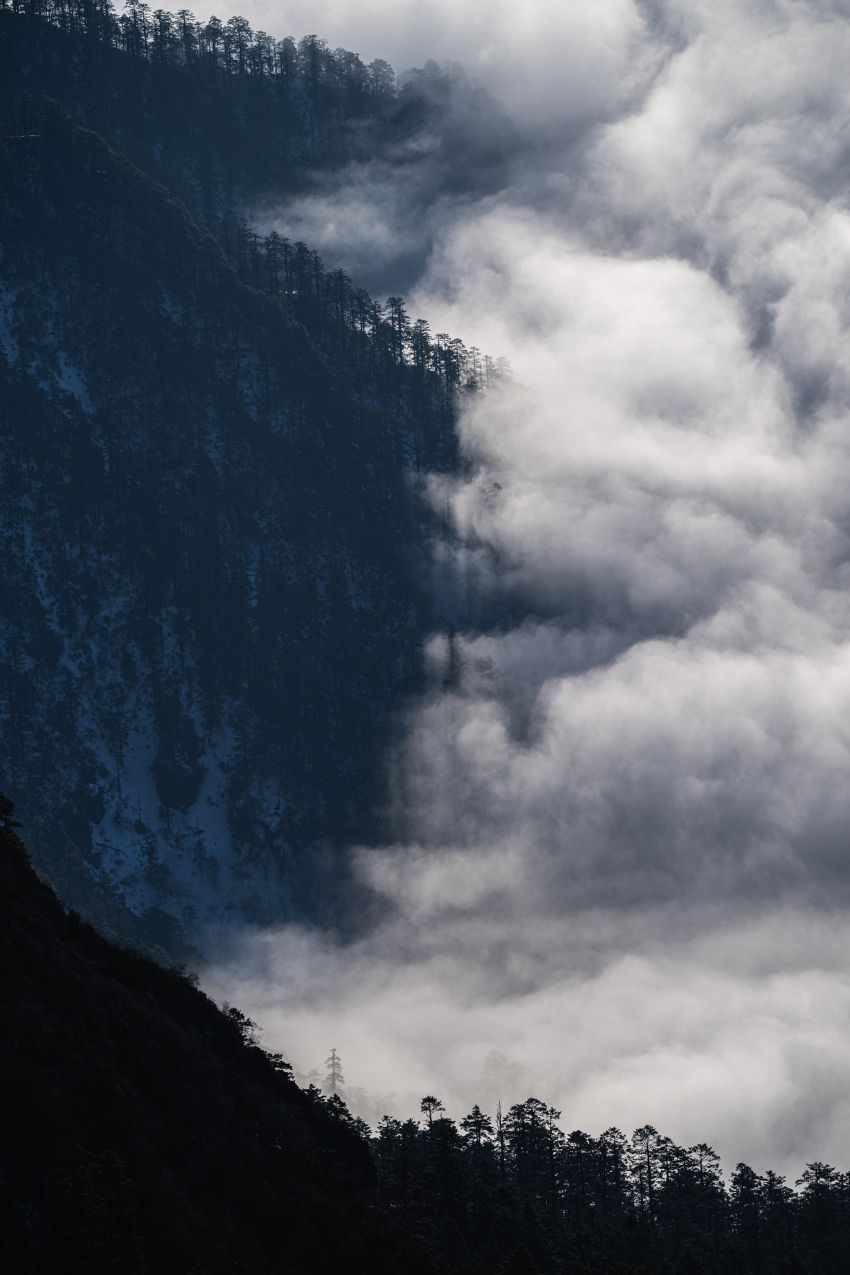 Hình ảnh chụp bởi ống kính 200mm F2