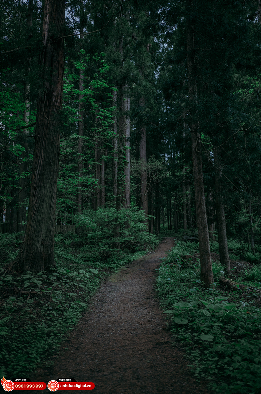 Sigma 28-45mm f1.8 DG DN Art 01