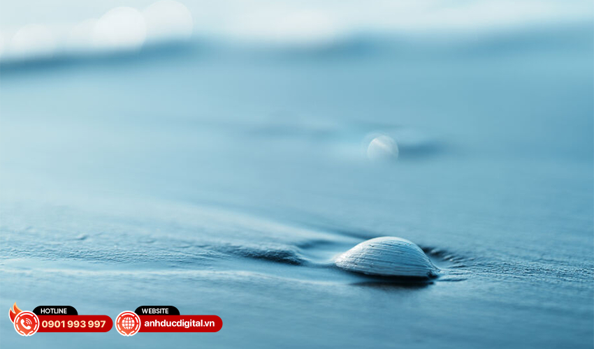 Ống kính Sony 85mm f1.4 GM II 47