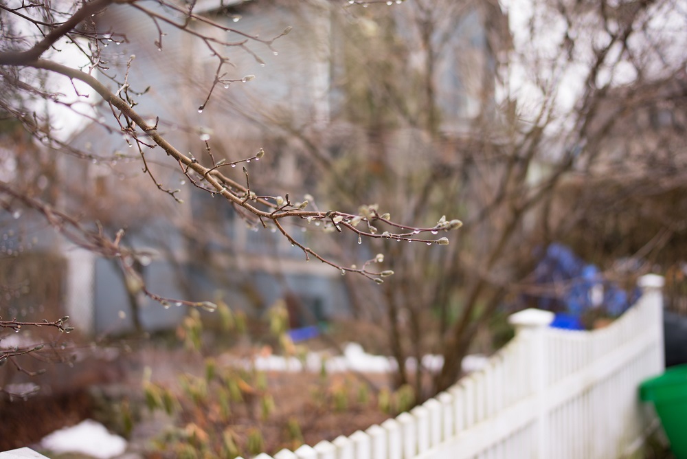 Sony Distagon T* FE 35mm f/1.4 ZA 5