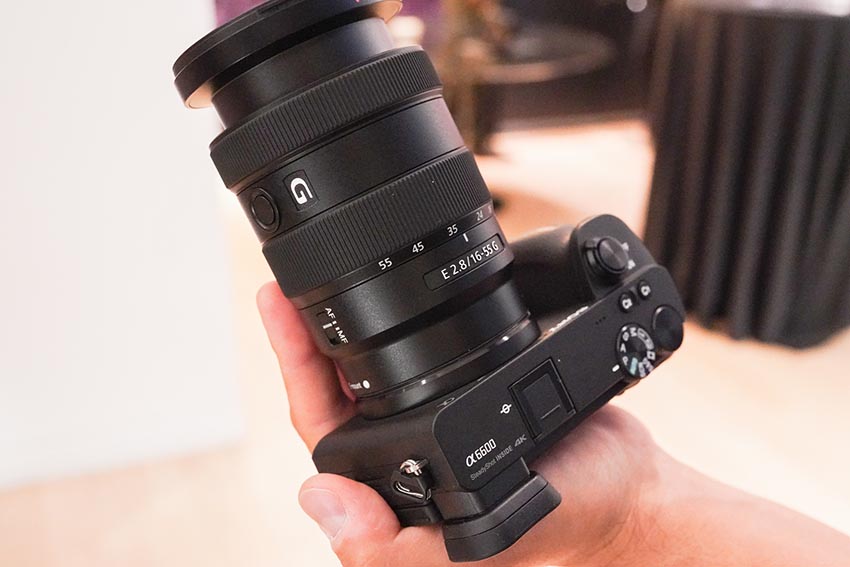 Sony E 16-55mm f2.8 07