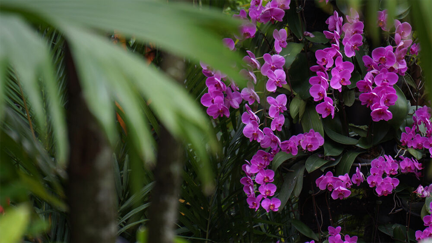 Sony E 55-210mm 09