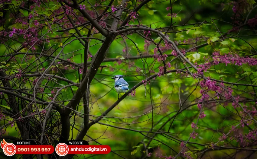 Ống k&iacute;nh Sony FE 100-400mm f/4.5 GM OSS trang bị hệ quang học G Master