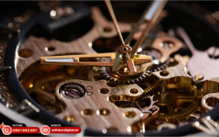 Ứng Dụng Thực Tế Của Sony FE 100mm f/2.8 Macro GM OSS