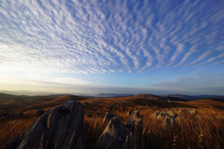 Sony FE 12-24mm f/2.8 GM 11