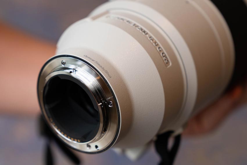 Sony FE 200-600mm f5.6-6.3 G OSS 04