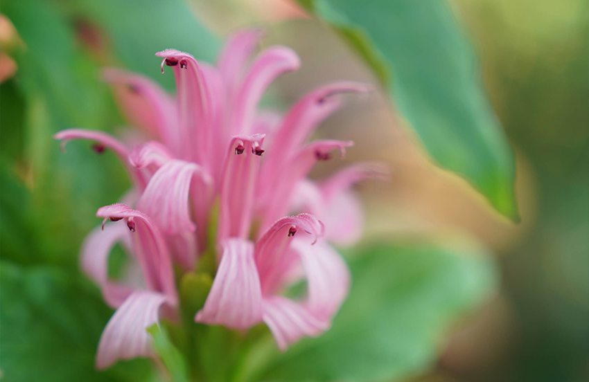Sony FE 24-70mm f/2.8 GM II 10