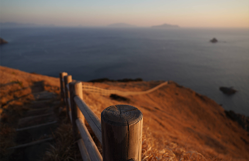 Sony FE 24-70mm f/2.8 GM II 23