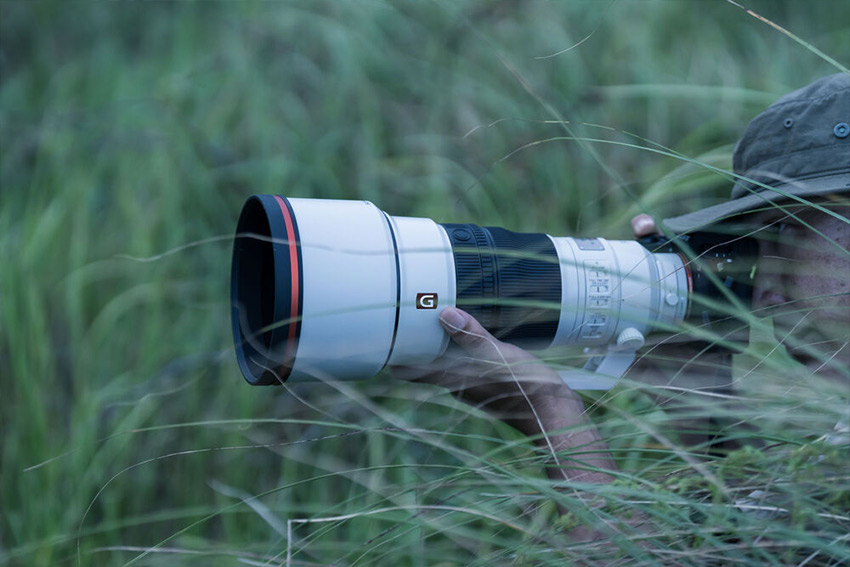 Sony FE 300mm f2.8 GM OSS 01