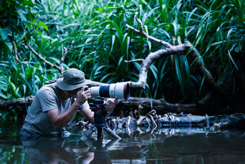 Sony FE 300mm f2.8 GM OSS 02