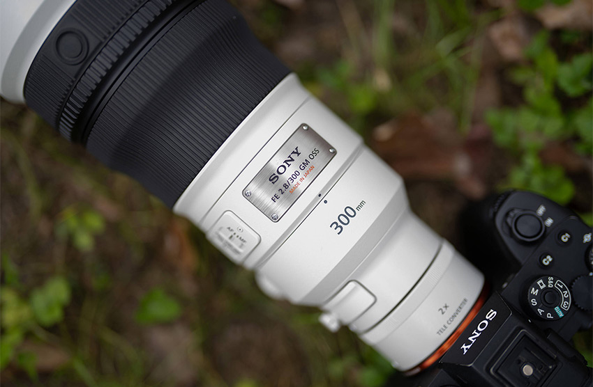 Sony FE 300mm f2.8 GM OSS 10