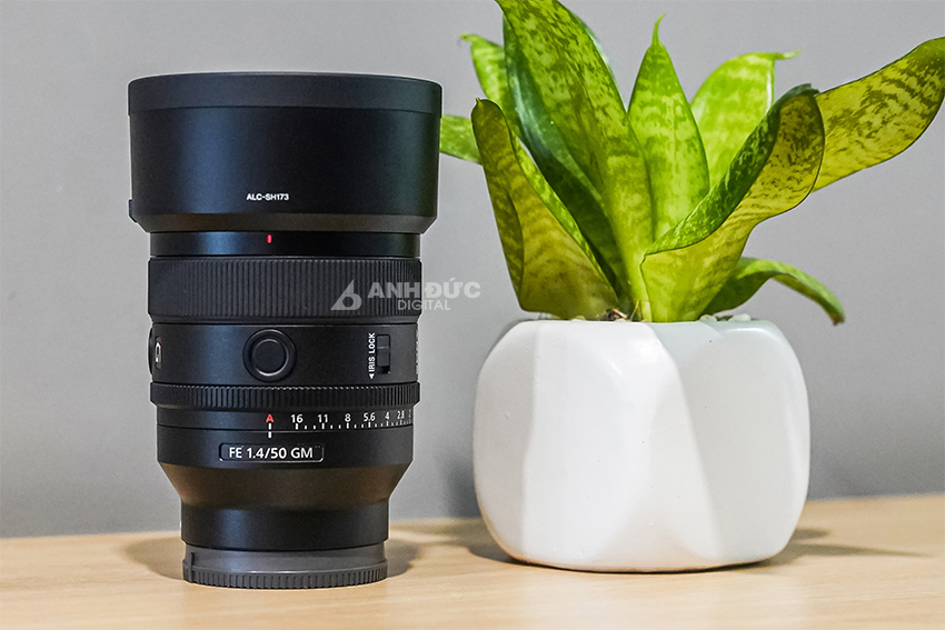 Sony FE 50mm f1.4 03