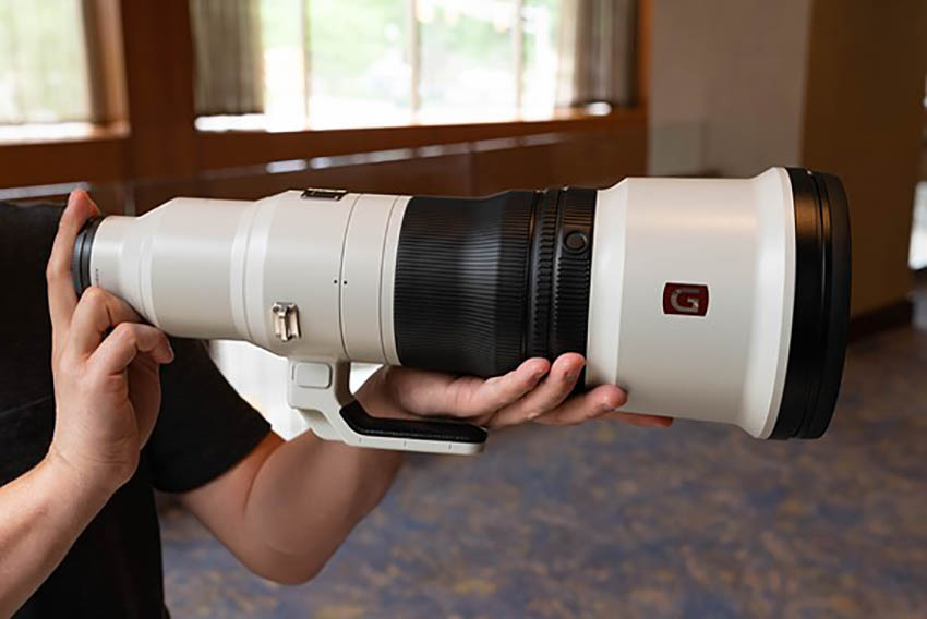 Sony FE 600mm f4 GM OSS 02