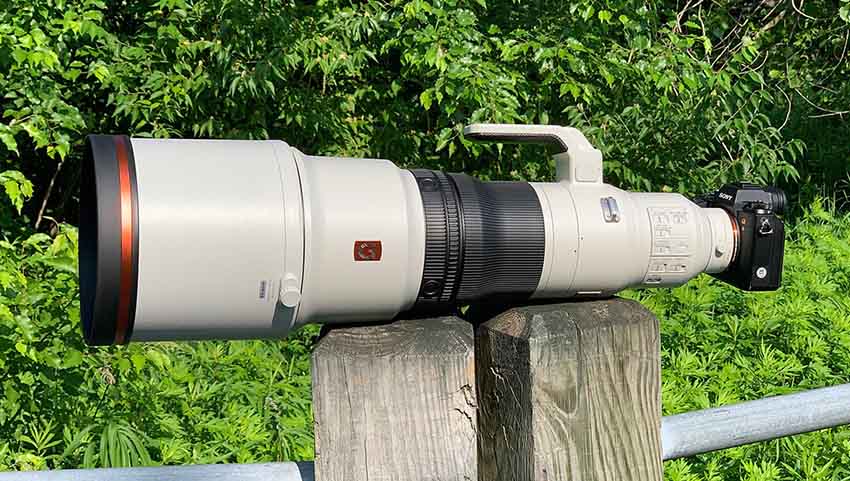 Sony FE 600mm f4 GM OSS 05