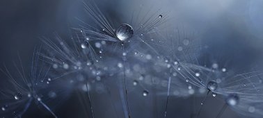 Sony FE 90mm f/2.8 Macro G OSS 3
