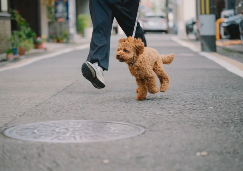 Chi tiết thân ống kính Tamron 35-100mm F/2.8 Di III VXD