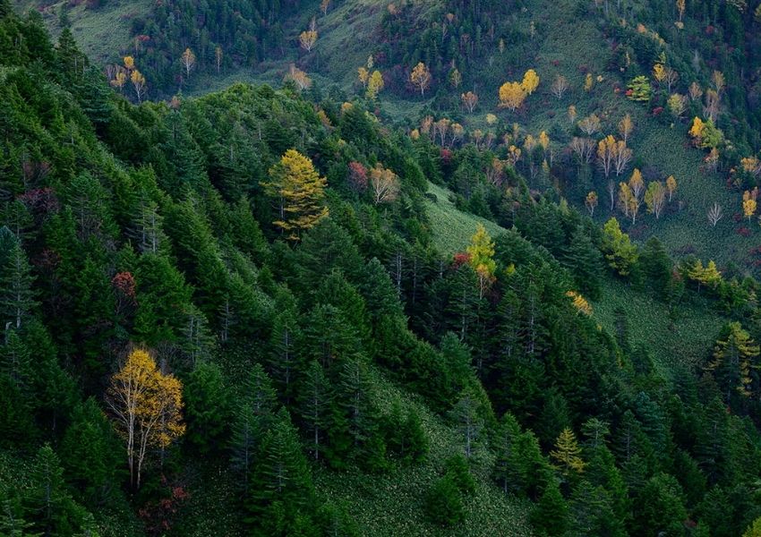 Hình ảnh chụp bởi ống kính Tamron 35-100mm F/2.8 Di III VXD