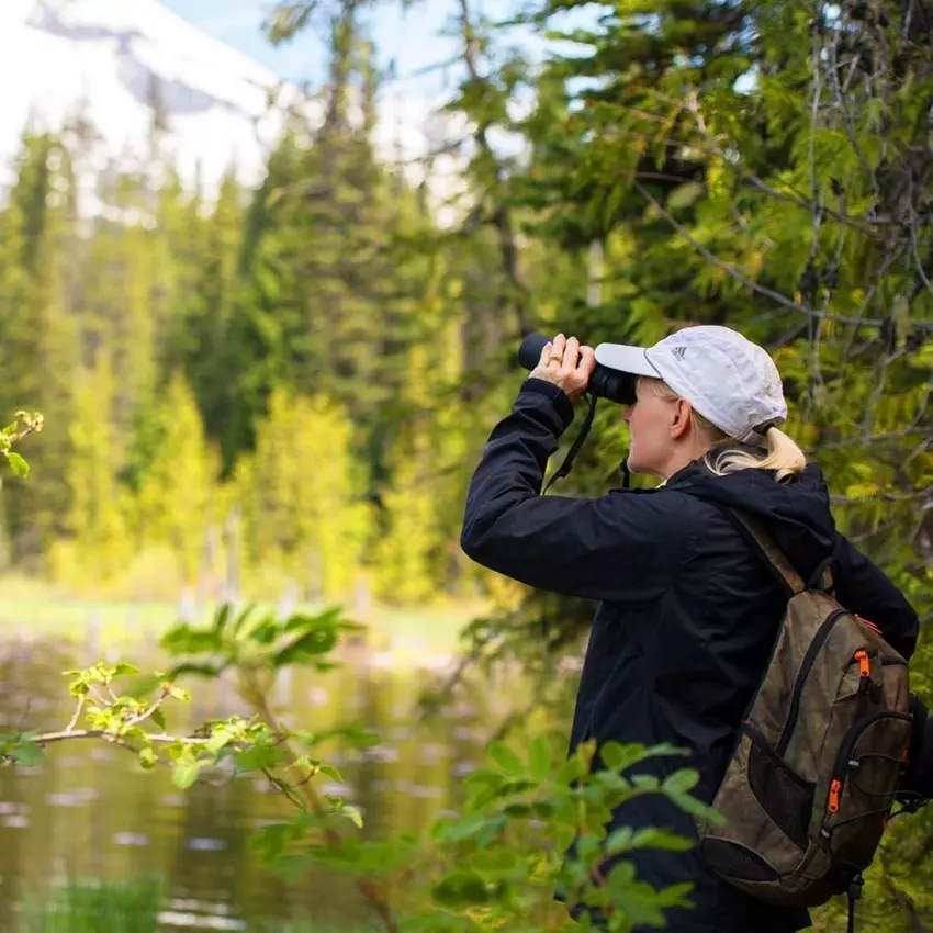 nikon-prostaff-5-12x50