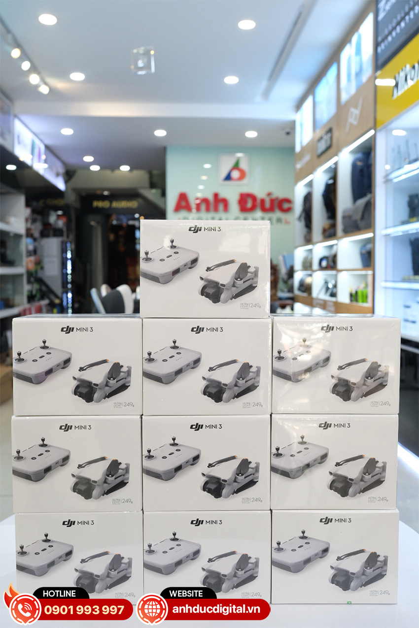 Mavic Mini 3