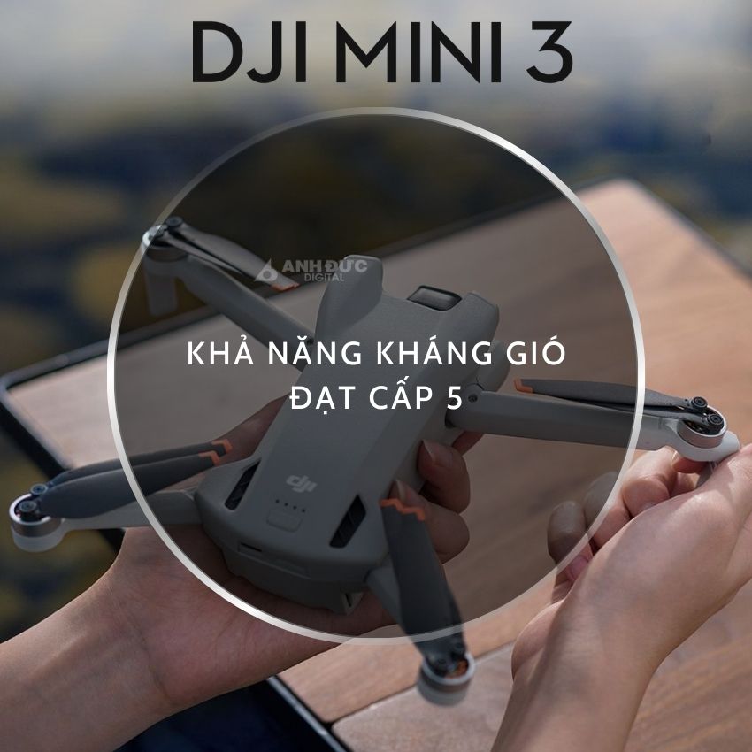 Khả năng kháng gió mạnh mẽ