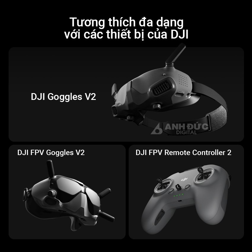 Khả năng tương thích đa dạng