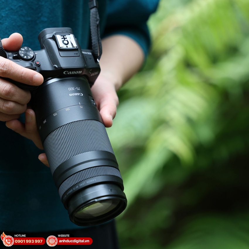 Canon RF 75-300mm f:4-5.6 - 6