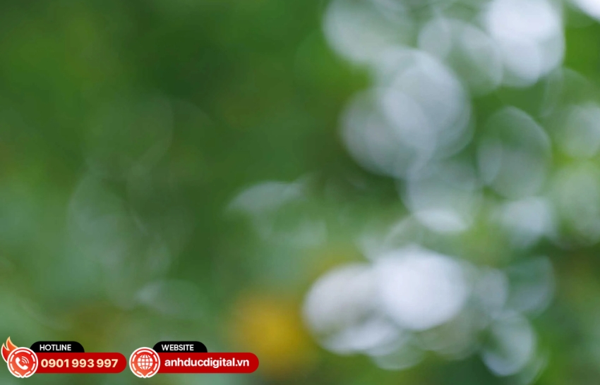 Hình ảnh mẫu của ống kính Canon RF 85mm f/1.4L VCM