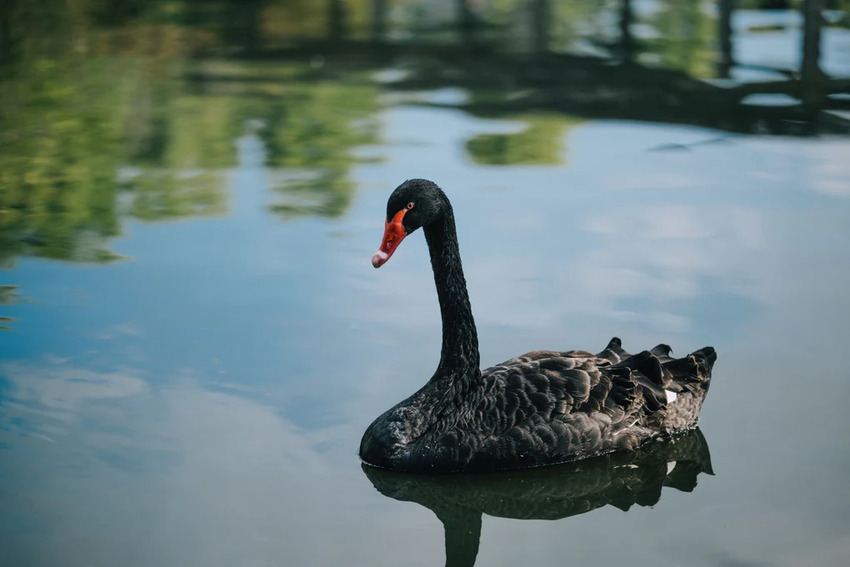 Hình phong cảnh chụp bởi ống kính viltrox