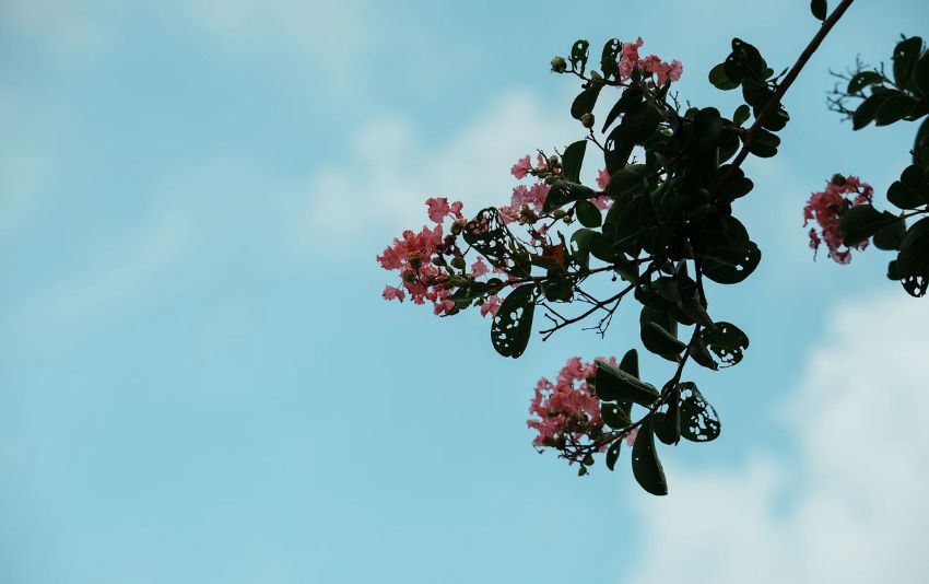 Bầu trời chụp bởi ống kính Viltrox AF 56mm