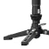 Chân đơn YC Onion Pineta Pro Carbon Fiber Monopod & FH60S - MQP16260S (Chính hãng)