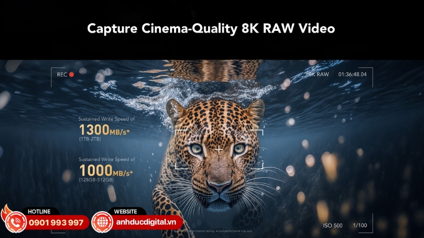 Lexar Professional CFexpress Type B GOLD Series quay phim 8K RAW mượt mà