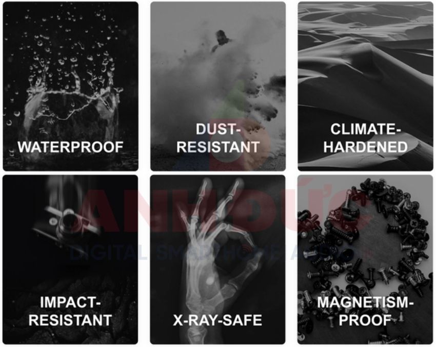 Thẻ nhớ Exascend 256GB Catalyst UHS-II SD card V60