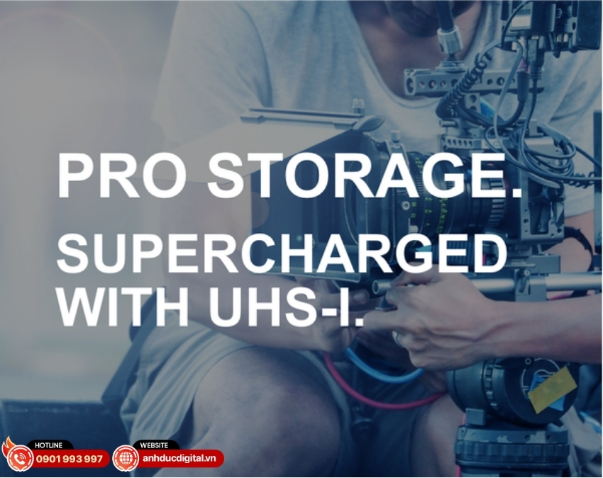 Thẻ nhớ Exascend 256GB Catalyst UHS-II SD card V60