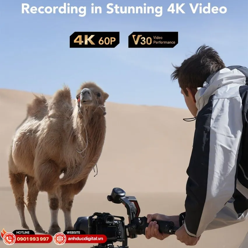 silver-plus-uhs-i-sdxc-v30-7_7_11zon