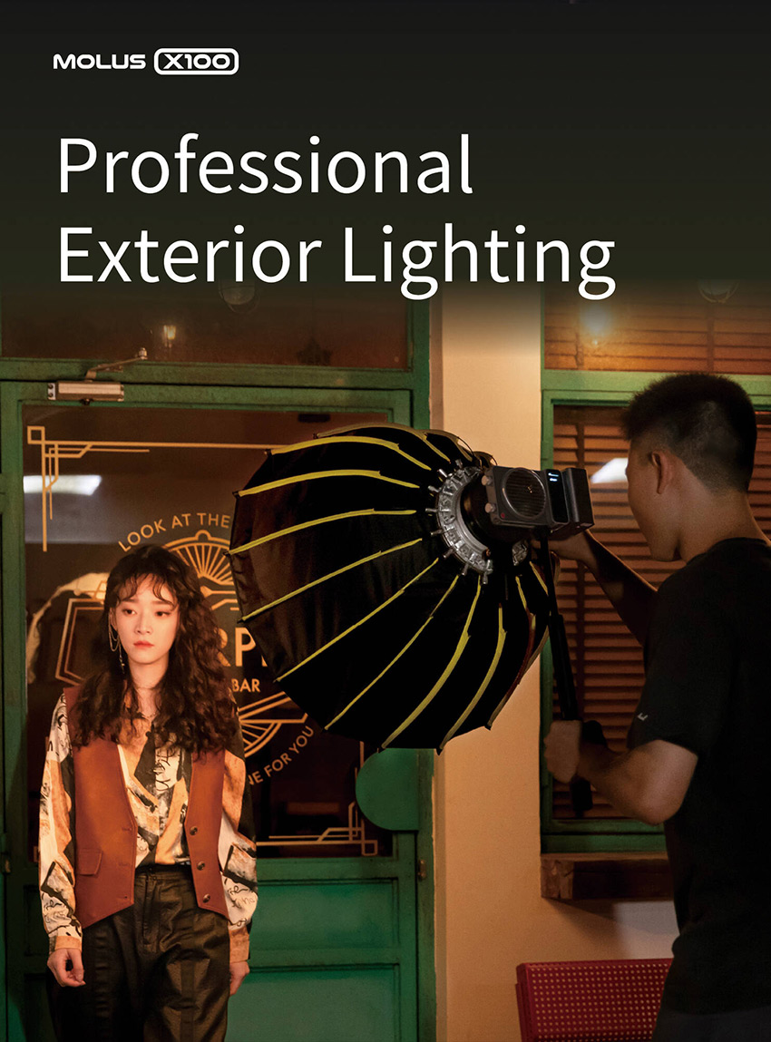 Zhiyun MOLUS X100 Bi-Color 17