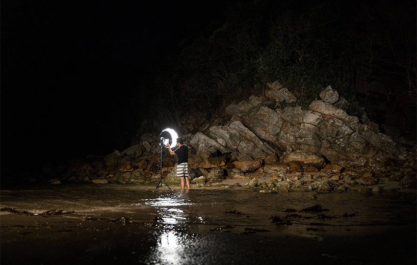 Aputure Lantern 06