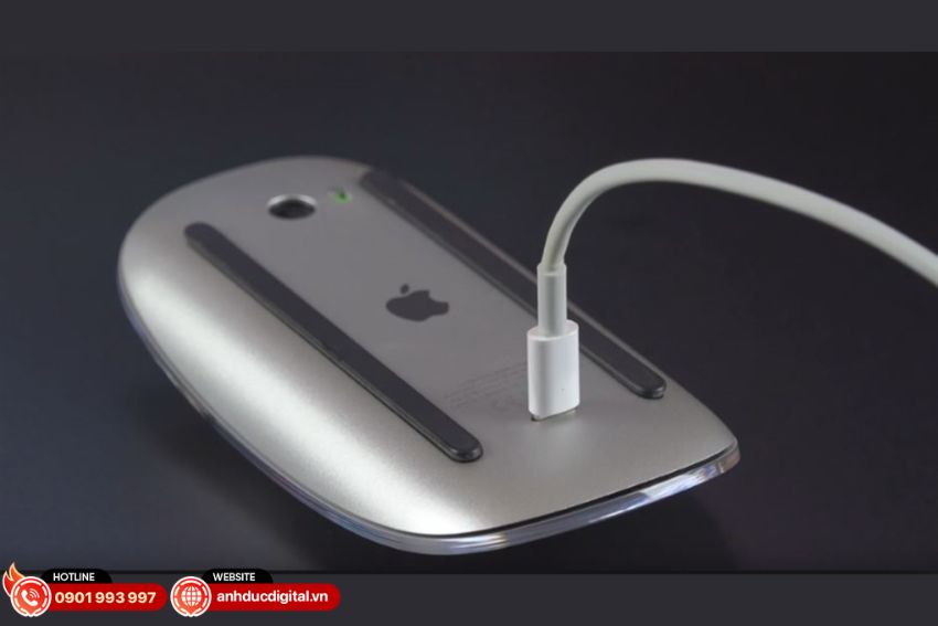 Magic Mouse 1 (1)