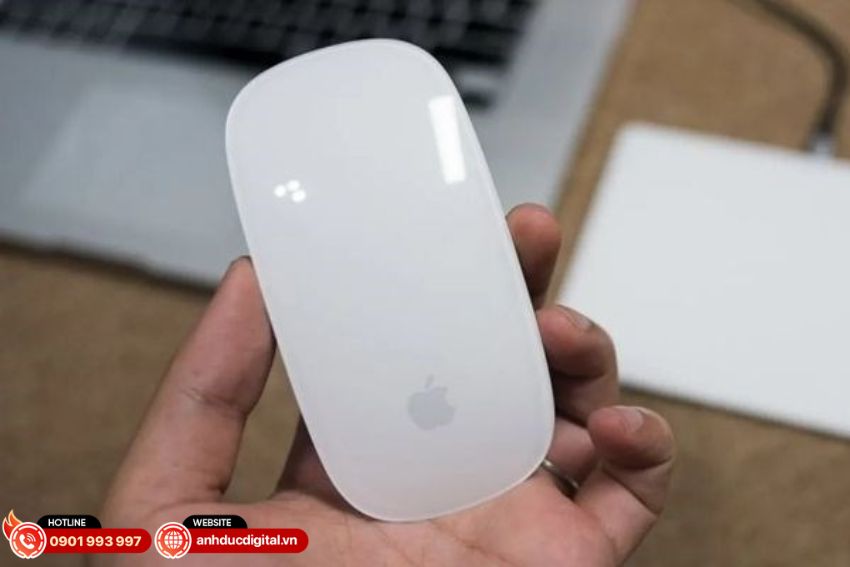 Magic Mouse 1 (2)