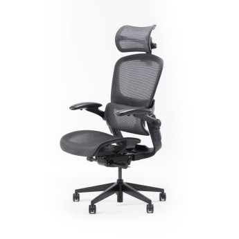 Ghế công thái học Epione Easy Chair 2.0 | All Black (Chính Hãng)