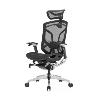 Ghế công thái học GTChair Dvary Butterfly | Black (Chính Hãng)